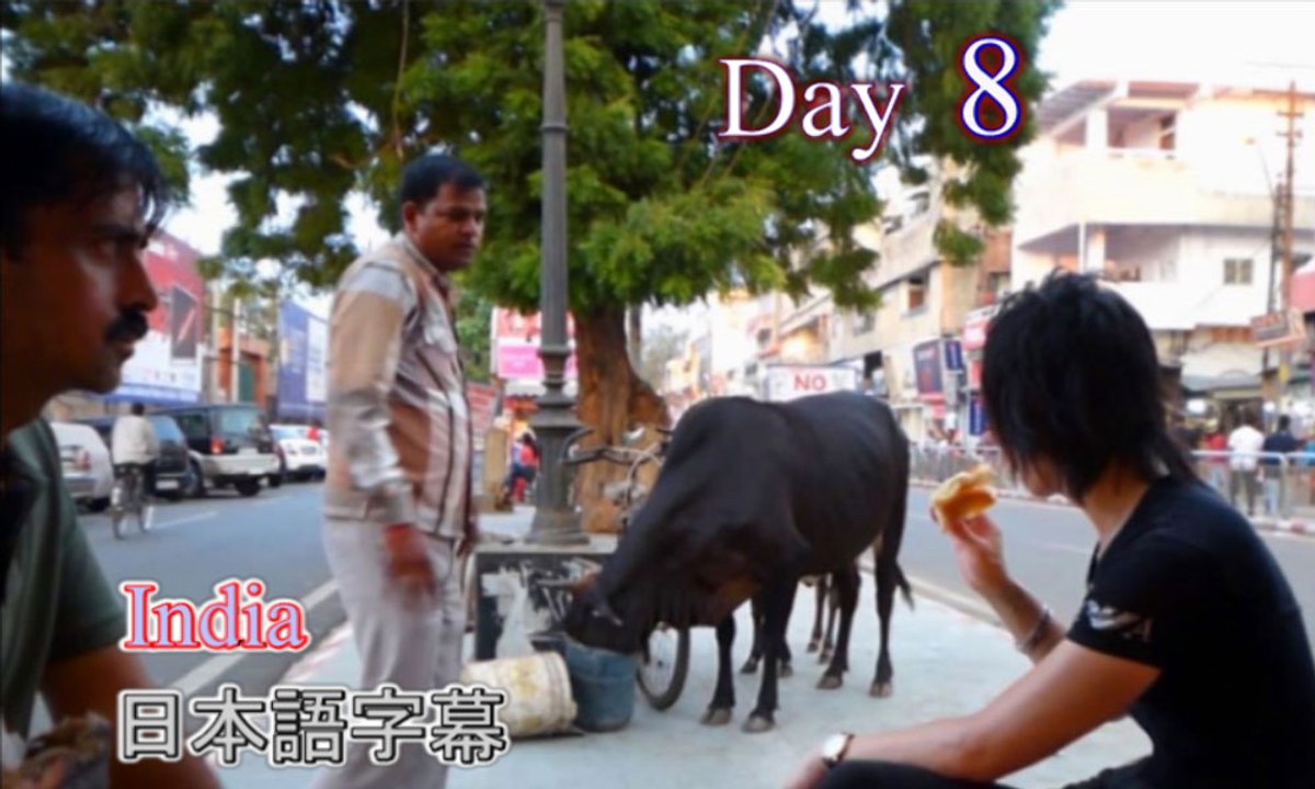 d8,字幕付き,インド旅行,日本から,ベントレーと日焼けと,名古屋ホストクラブ社長の海外旅行,जापान से भारत की यात्रा।