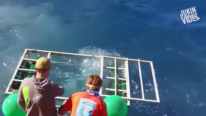 Top 10 Shark Encounters || JukinVideo Top Ten