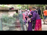 Puluhan Ribu Pengunjung Kunjungi Kebun Binatang Surabaya - NET24