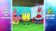 Dank Memes Vine Compilation (YLYL) #24