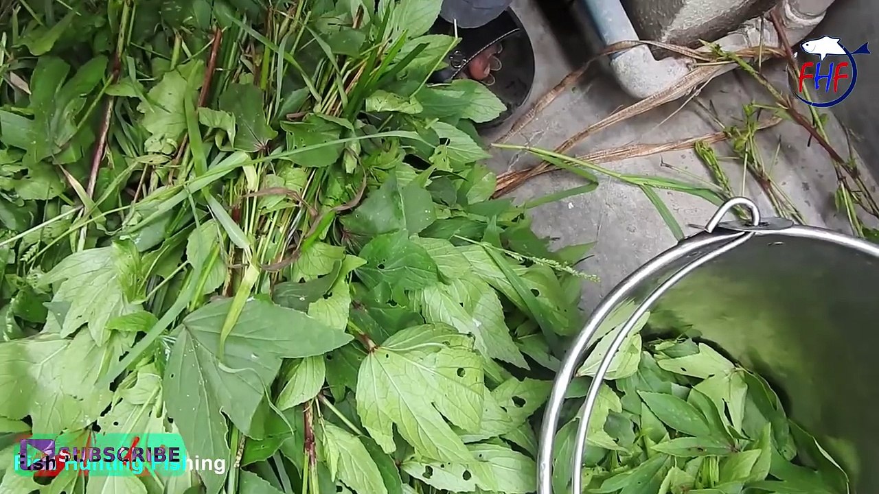 How to cook Shrimp n eggs bulk recipes    Eggs and Tiger prawns with Roselle leaves curry