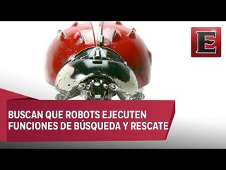 Estudiantes mexicanos emplean conducta de animales en robots