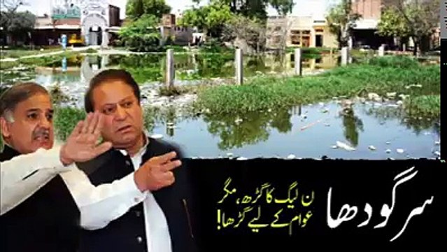 Public Views About The Miserable Living Standards of Sargodha City Under Tajarbakar Govt