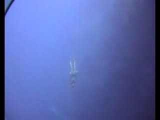 L' Arche de Dahab en apnée sans palmes !