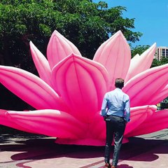 Pierce Brosnan near to Blossoming Lotus