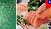 Cacing pita diangkat dari tubuh gadis kecil setelah makan sushi terkontaminasi - Tomonews