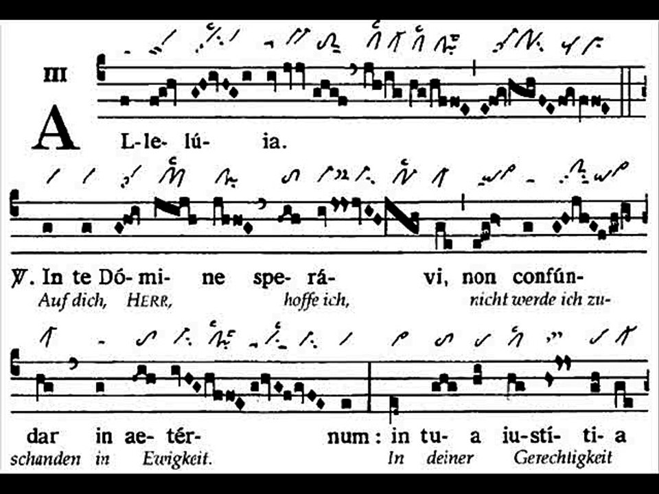 Alleluia In te Domine, Dominica XII TpA (12 TO)