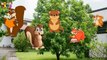 Gorilla-Squirrel -Pineapple-Dog Finger Family Poem   Funny 2D Videos