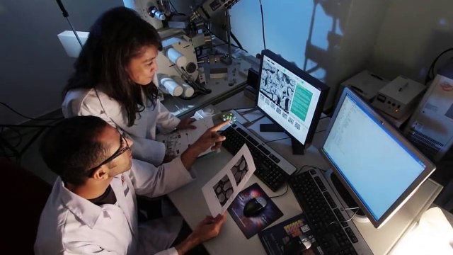 5 SIRENAS REALES !! Captadas En Cámara