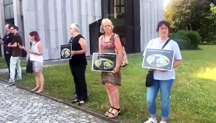 Manifestation ASBL Wolf Eyes - Mort du labrador Bruni