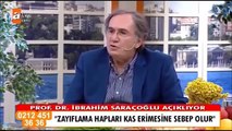 Yağ Yakan Tilya Kürü Nasıl Yapılır | Prof. Dr. İbrahim Saraçoğlu