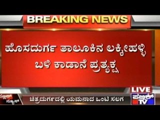 Chitradurga: Pregnant killed in wild elephant attack