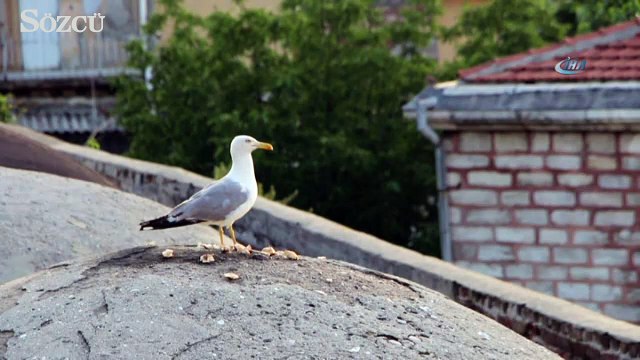 İstanbul’da gün batımında mest eden görüntüler