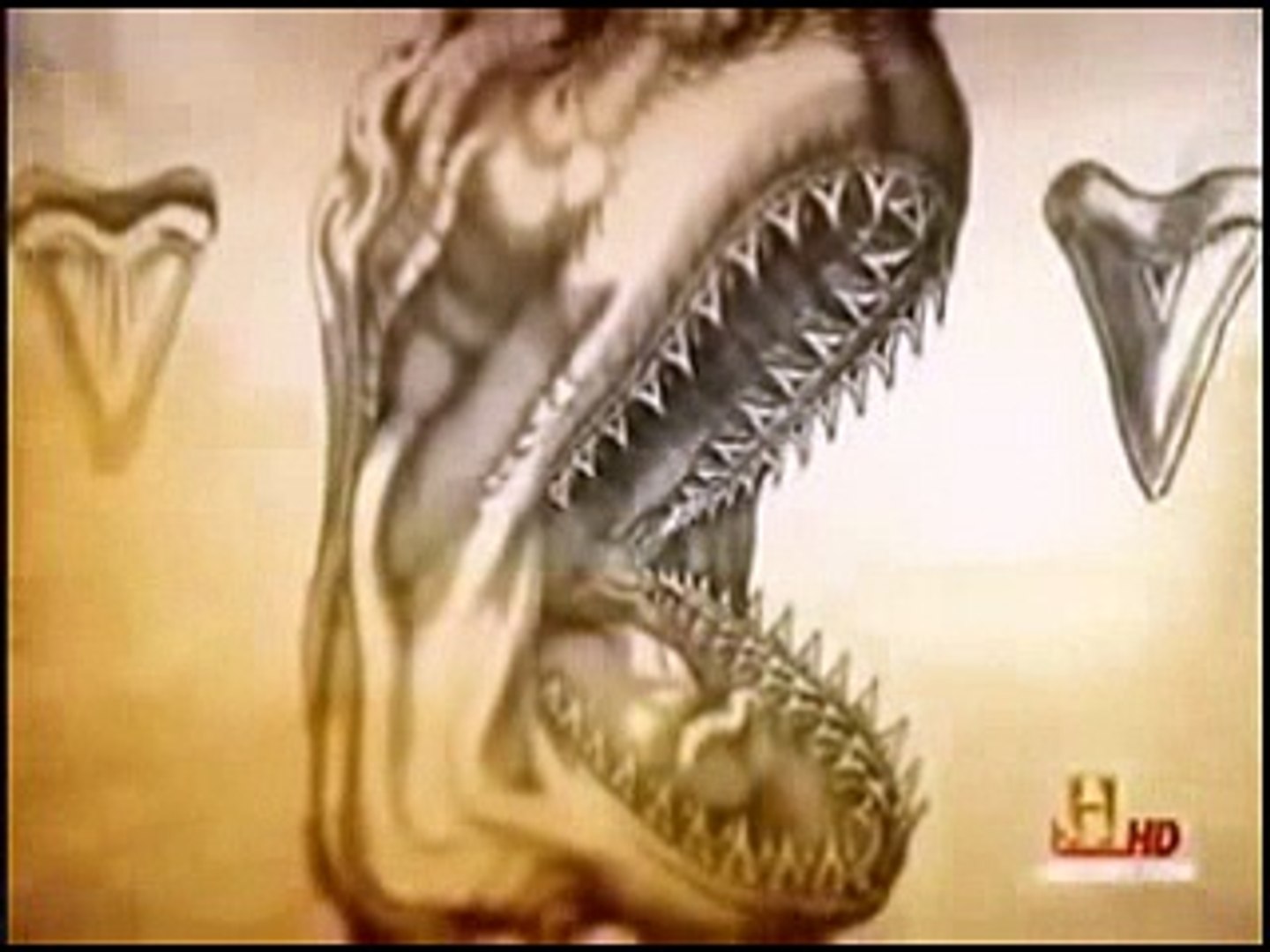 ⁣Animal Planet Underwater predator Sharks