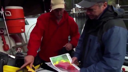 Animal Planet Predators in the sea of Cortez The humboldt squid