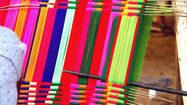 Brazil's Wildlife - The Amazon Jungle Tribe