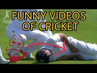 most cricket funny videos 2017 1million views