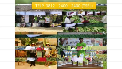 0812-2400-2400 (TSEL ),Obat Penggemuk Bebek