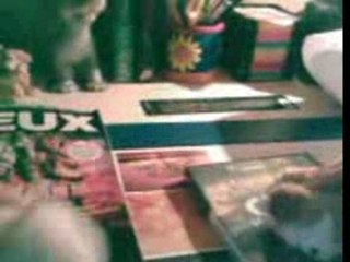 Super-rat vs super-chien