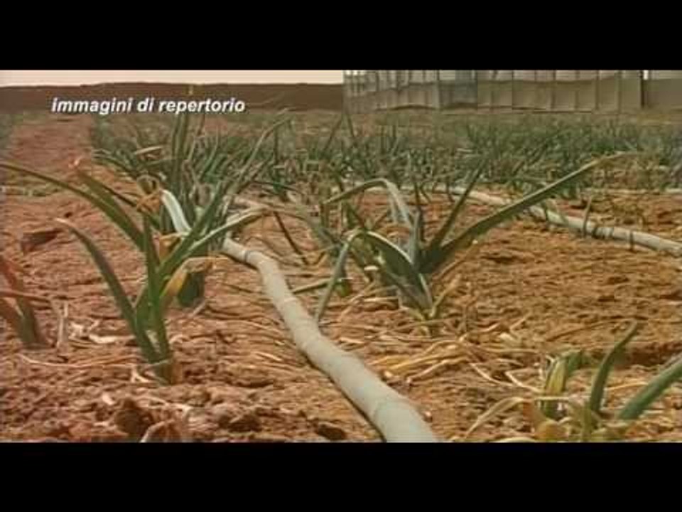 Allarme siccità, da Coldiretti il punto sull'agricoltura riminese
