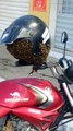 Un motard retrouve son casque rempli d'abeilles