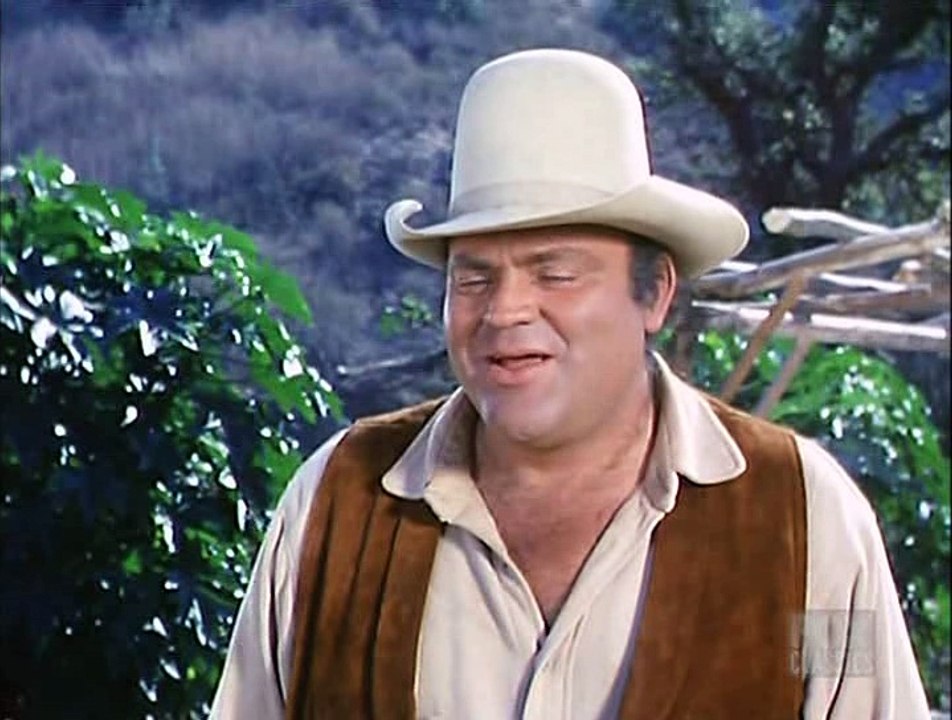 Bonanza S10E23 The Wish