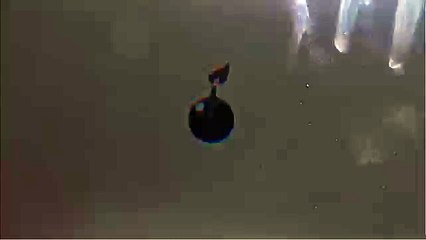 Rob - Détails (Clip officiel)