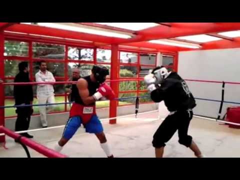 bay area boxing academy