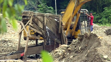 En Indonésie, les ravages des mines d'or clandestines