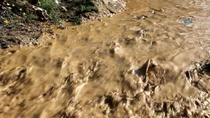 Aydın'da Evlerin Ardından Tarlaları da Jeotermal Su Bastı