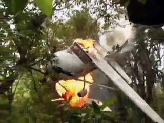 Carinha de Anjo - Capítulo 151