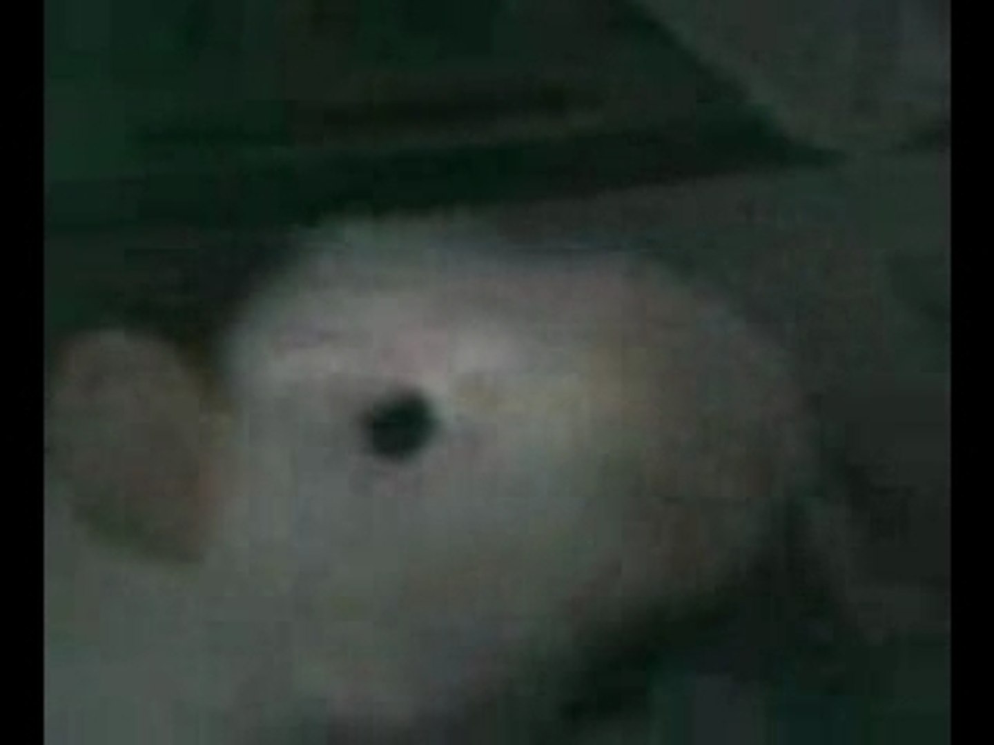 histoire de rat