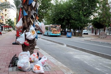 Palmiye Ağacını Çöplüğe Çevirdiler