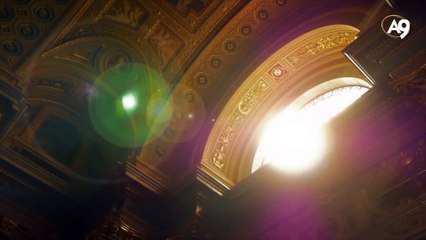 The Sequence in Development of Human Organs