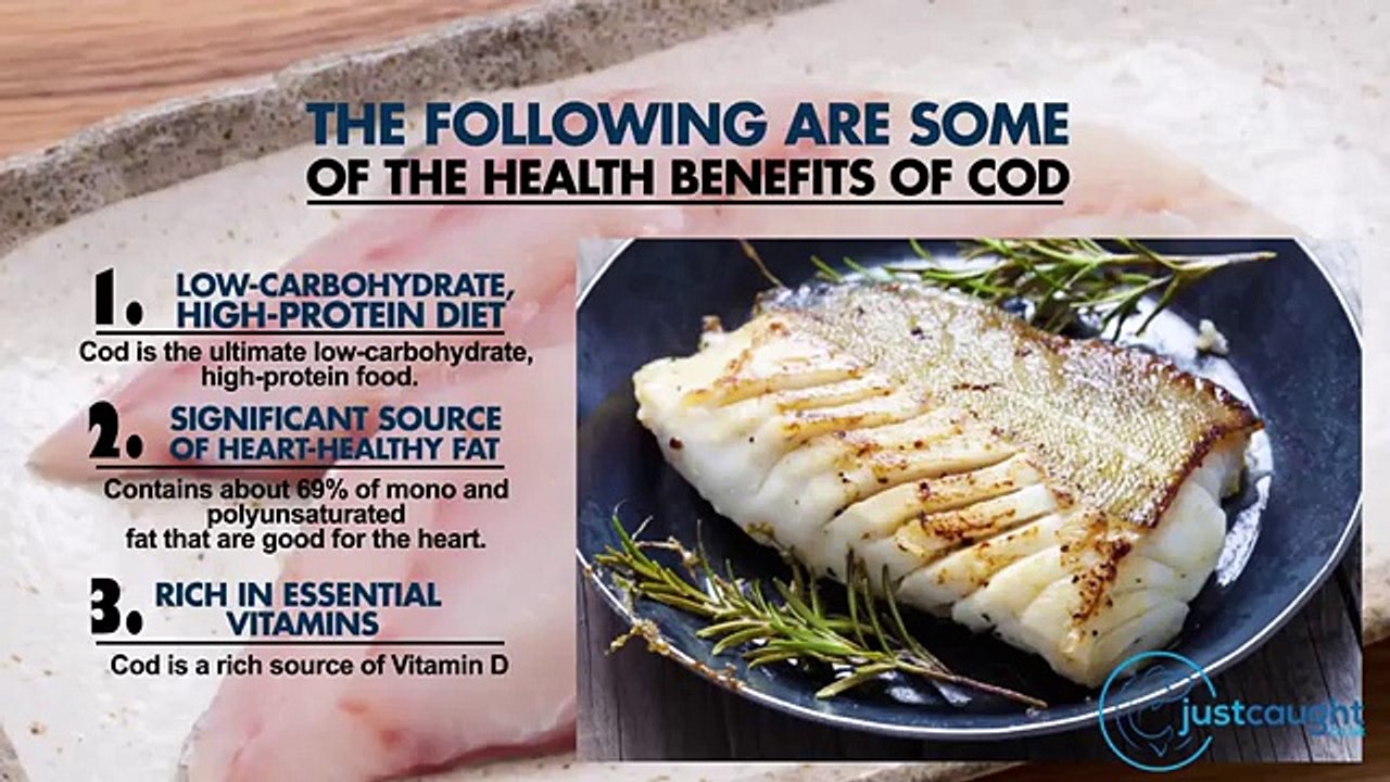 All You Need TO Know About Cod