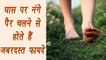 Walking Barefoot on grass, Health Benefits | घास पर नंगे पैर चलने के ज़बरदस्त फायदे | Boldsky
