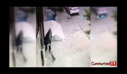Sokak kedilerine uygulanan şiddet kamerada