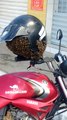 Un motard découvre un essaim d’abeilles dans son casque au Brésil