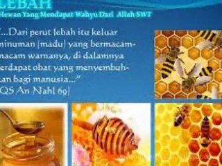 Mengharukan.. Kisah CASSIE, Perawat Rumah Sakit AS Yg Masuk Islam Karena Pasiennya....