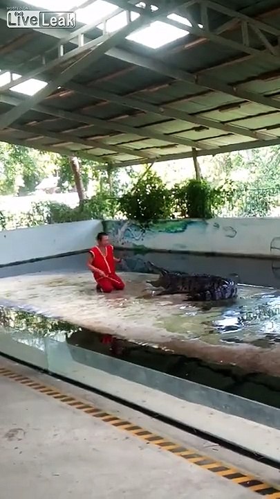 Il met sa tête dans la gueule d’un crocodile