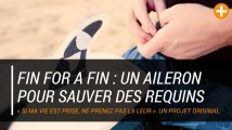 Fin for a fin : un aileron pour sauver des requins