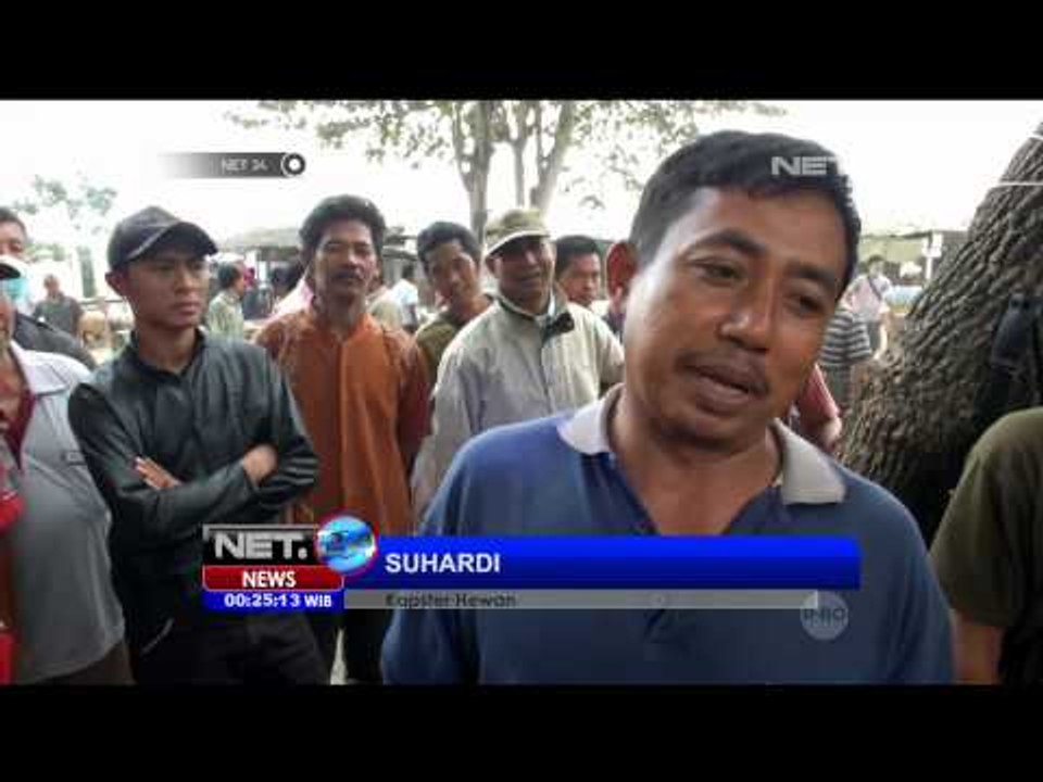 Jelang Idul Adha, Jasa Percantik Hewan Kurban Laris Manis - NET24