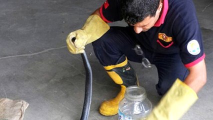 Erzincan'da Eve Girmeye Çalışan Yılanı Itfaiye Yakaladı