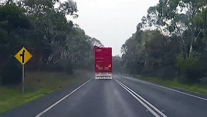 Une vache essaie de fuir une semi-remorque en plein milieu d'une route