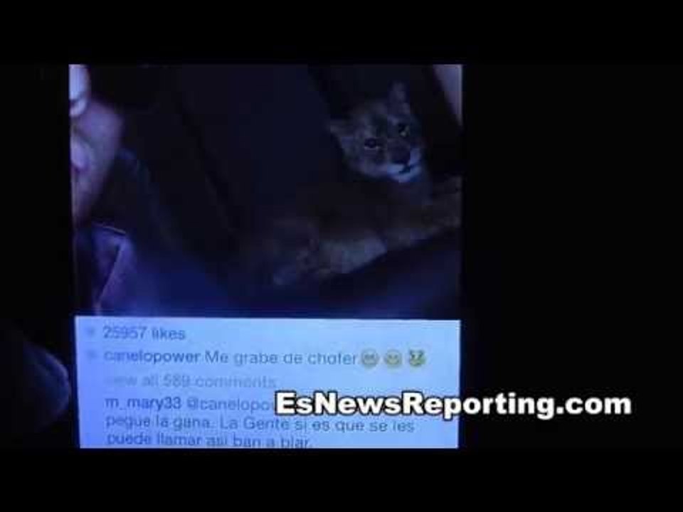 Canelo Alvarez Gets A New Pet Lion