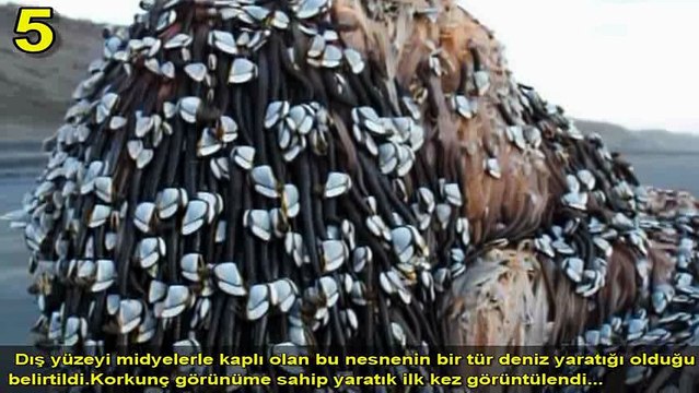 İnanmakta Zorlanacağınız Gerçekten Yaşanmış Tuhaf Ve İlginç Olay