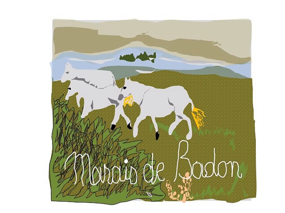 promenade en camargue