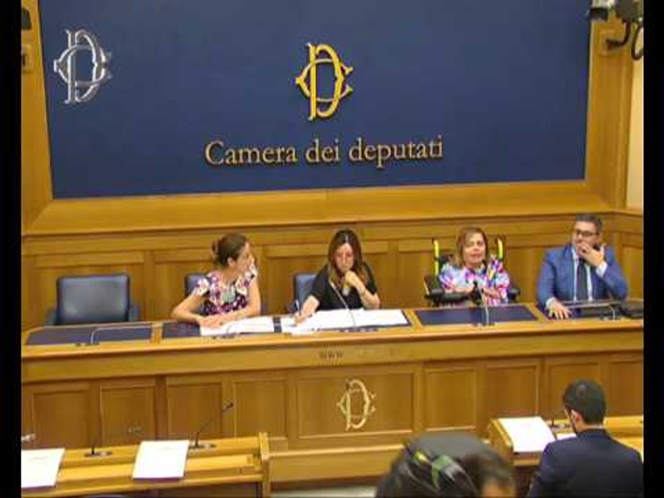 Roma - Conferenza stampa di Ileana Argentin (20...