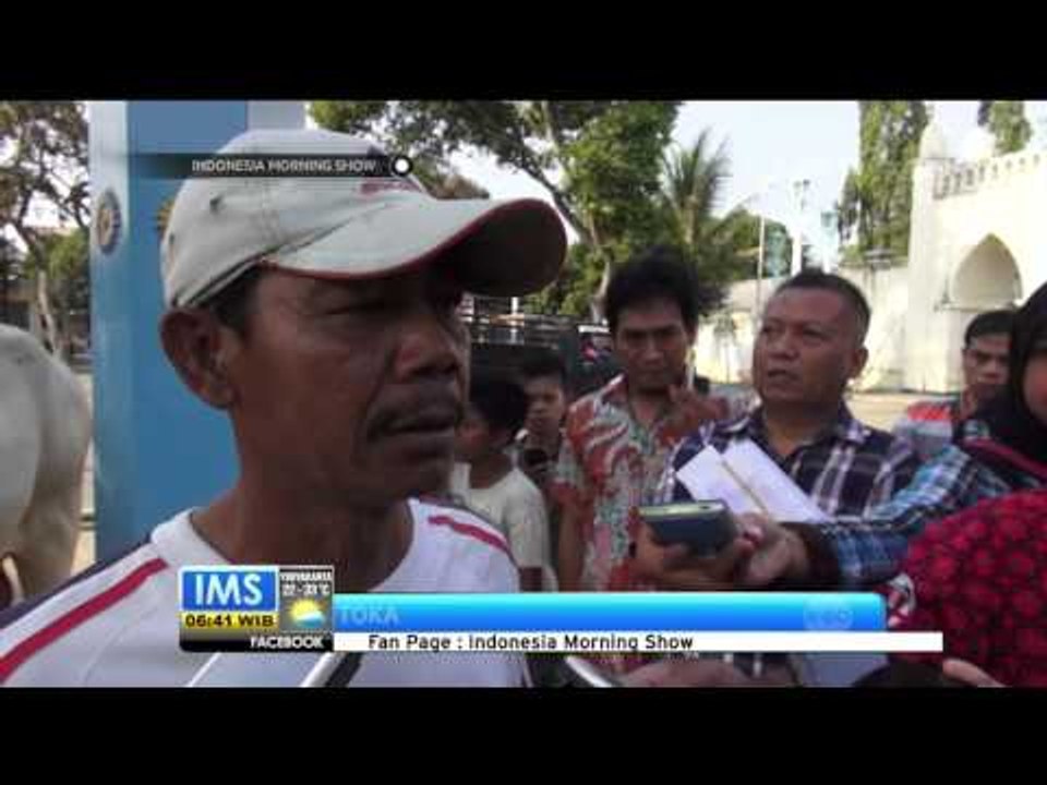 Sapi Kurban Jokowi - IMS