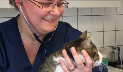 Canicule : comment protéger ses animaux de la chaleur ?